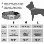 Collier Chien Personnalisé Nylon Gravé