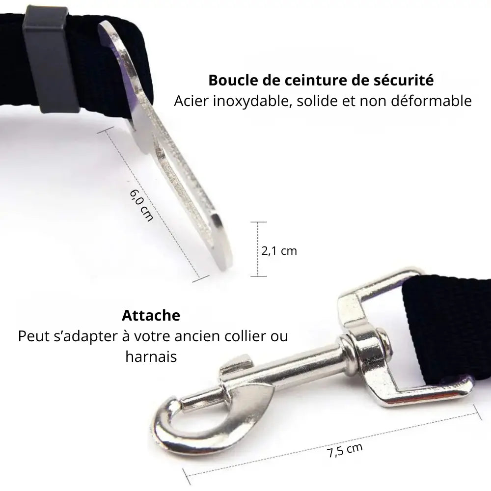 Ceinture de Sécurité pour Chien – Attache Voiture Réglable Walk'Studio