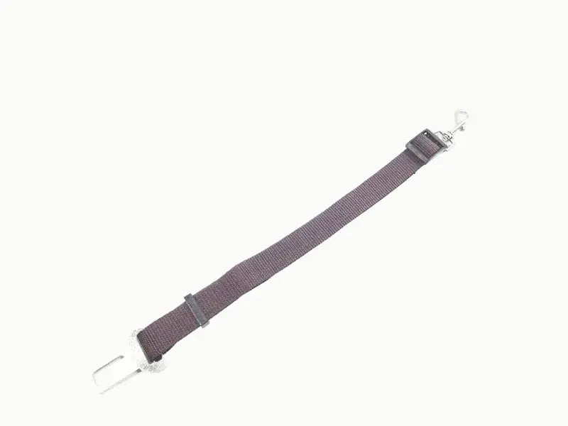 ceinture chien voiture
dog seat belt
attache voiture chien
sécurité chien voiture
laisse voiture chien
accessoire transport chien
