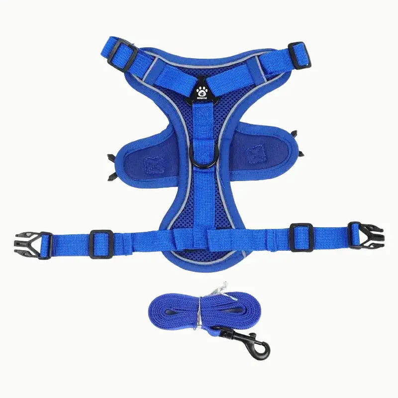 harnais anti traction et laisse bleu