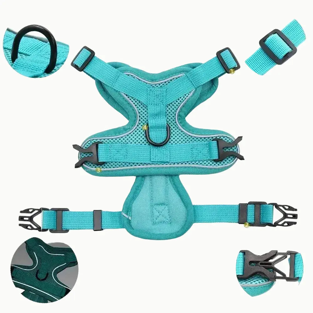 harnais anti traction et laisse bleu