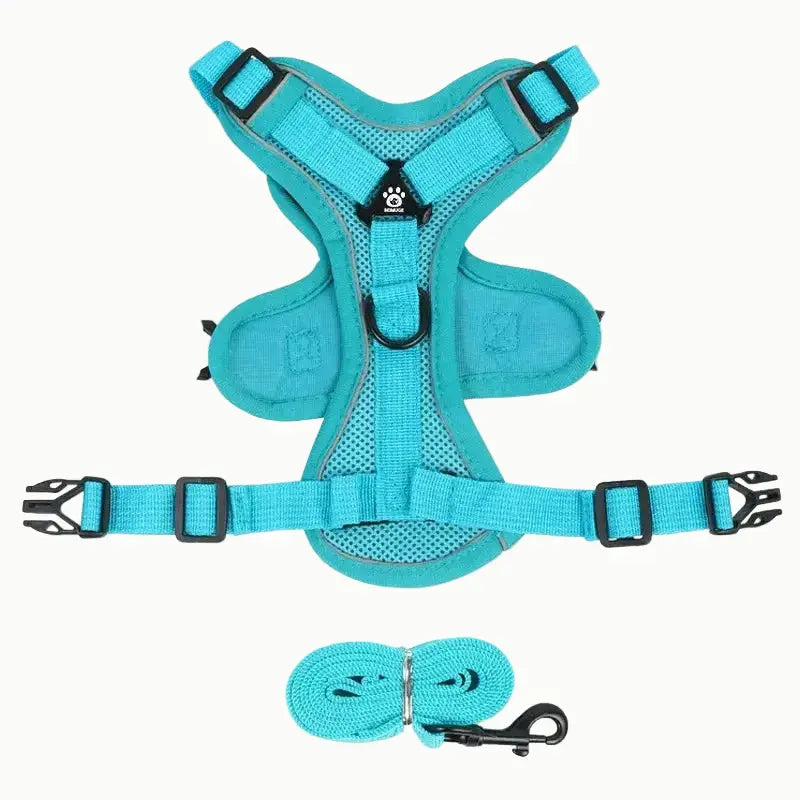 harnais anti traction et laisse bleu