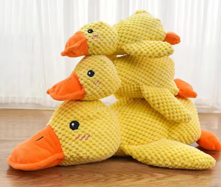 canard en peluche jeu pour chien