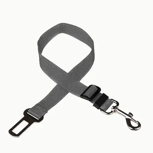 ceinture chien voiture
dog seat belt
attache voiture chien
sécurité chien voiture
laisse voiture chien
accessoire transport chien Walk'Studio