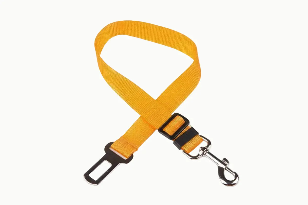ceinture chien voiture
dog seat belt
attache voiture chien
sécurité chien voiture
laisse voiture chien
accessoire transport chien Walk'Studio