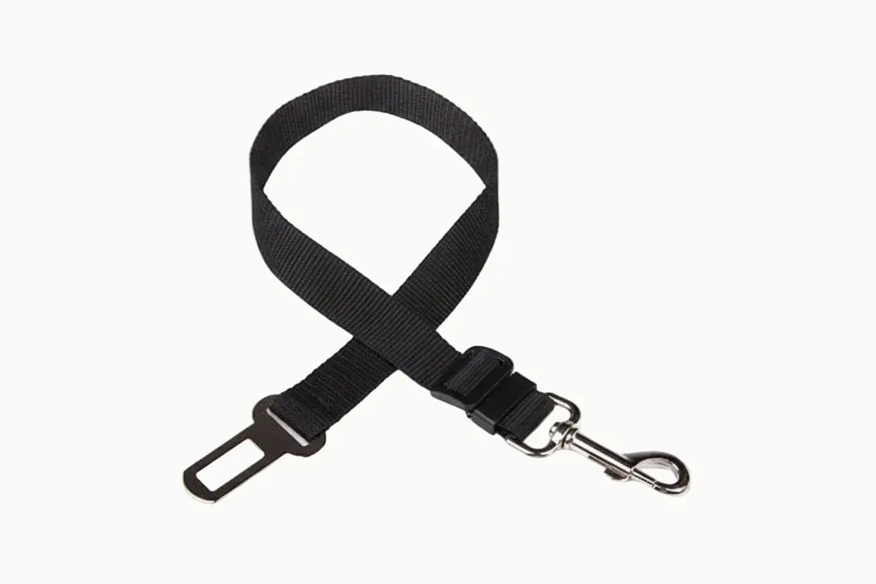 ceinture chien voiture
dog seat belt
attache voiture chien
sécurité chien voiture
laisse voiture chien
accessoire transport chien Walk'Studio