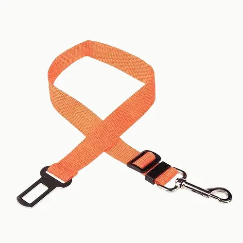 ceinture chien voiture
dog seat belt
attache voiture chien
sécurité chien voiture
laisse voiture chien
accessoire transport chien Walk'Studio
