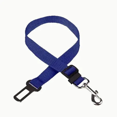 ceinture chien voiture
dog seat belt
attache voiture chien
sécurité chien voiture
laisse voiture chien
accessoire transport chien Walk'Studio