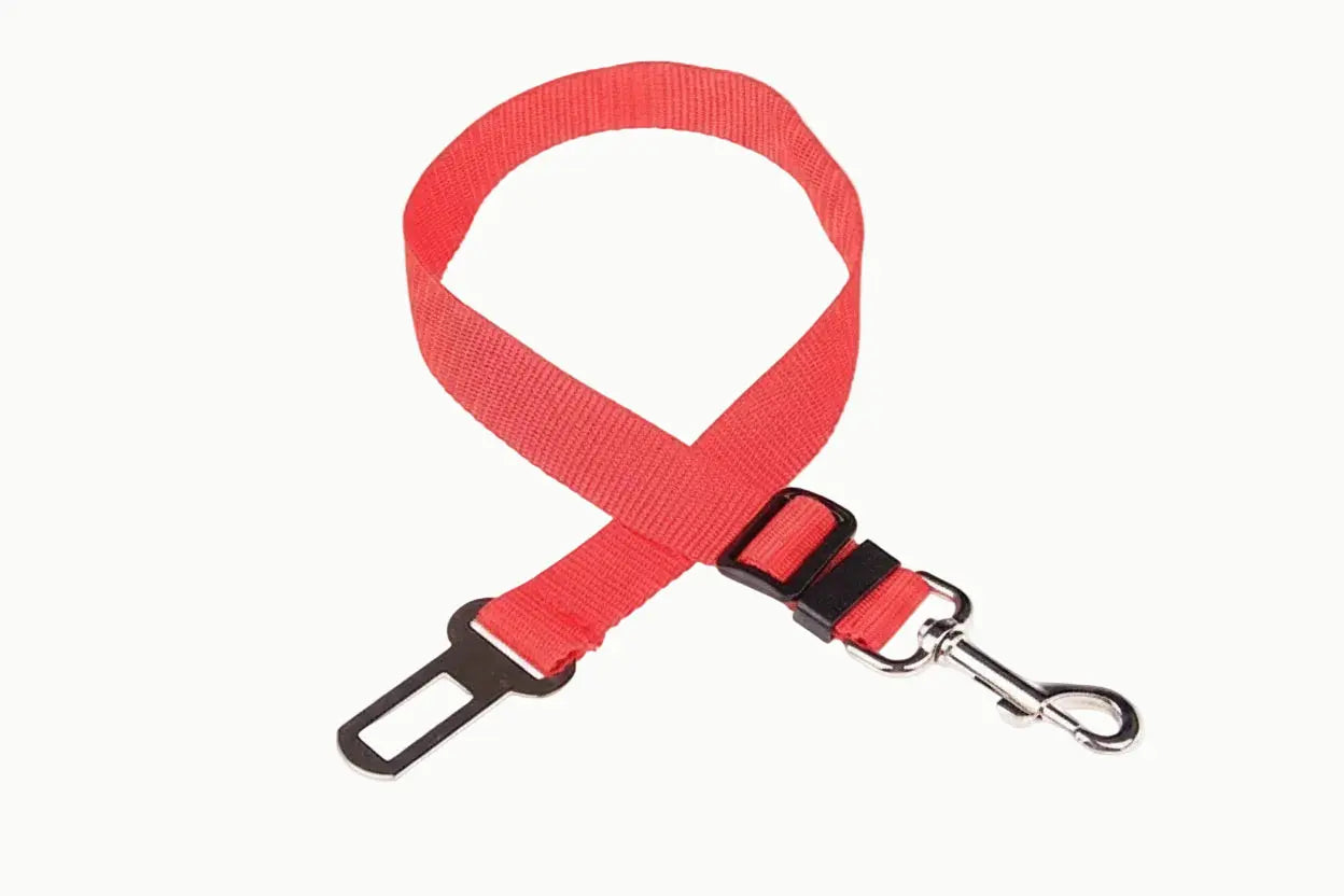 ceinture chien voiture
dog seat belt
attache voiture chien
sécurité chien voiture
laisse voiture chien
accessoire transport chien Walk'Studio