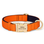 Collier pour chien en nylon orange avec gravure personnalisée du nom