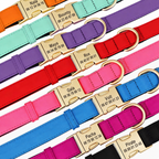 Collection de colliers pour chien en nylon personnalisés, disponibles en 8 couleurs, tailles S M L