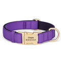 Collier pour chien en nylon violet avec gravure personnalisée du nom