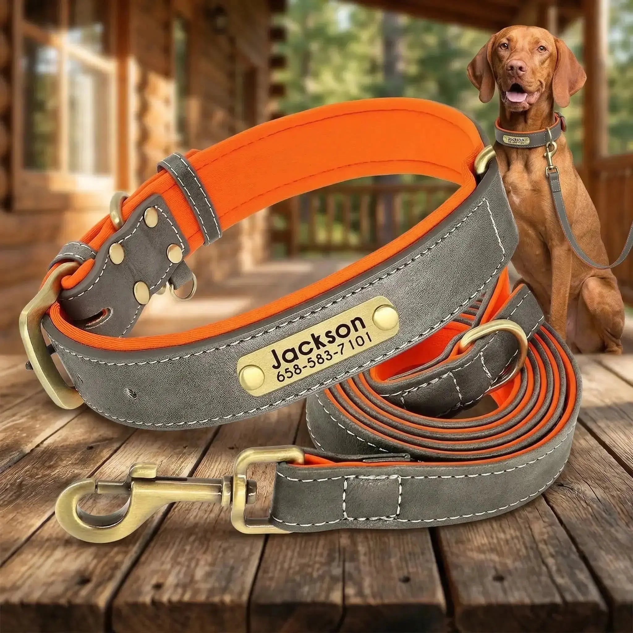 Collier personnalisé pour chien avec laisse assortie – Gravure offerte gris et orange Walk'Studio