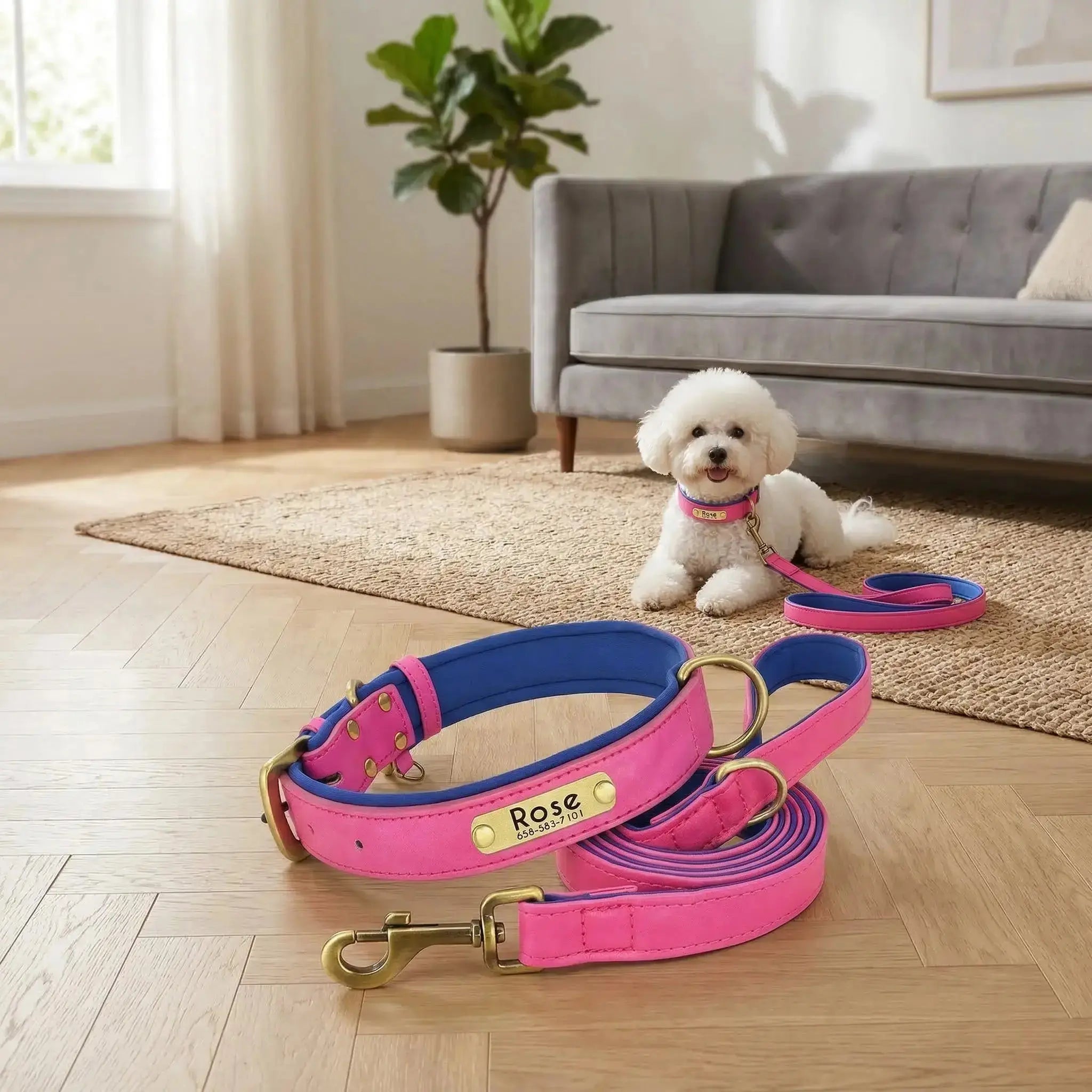 Collier personnalisé pour chien avec laisse assortie – Gravure offerte rose et bleu foncé Walk'Studio