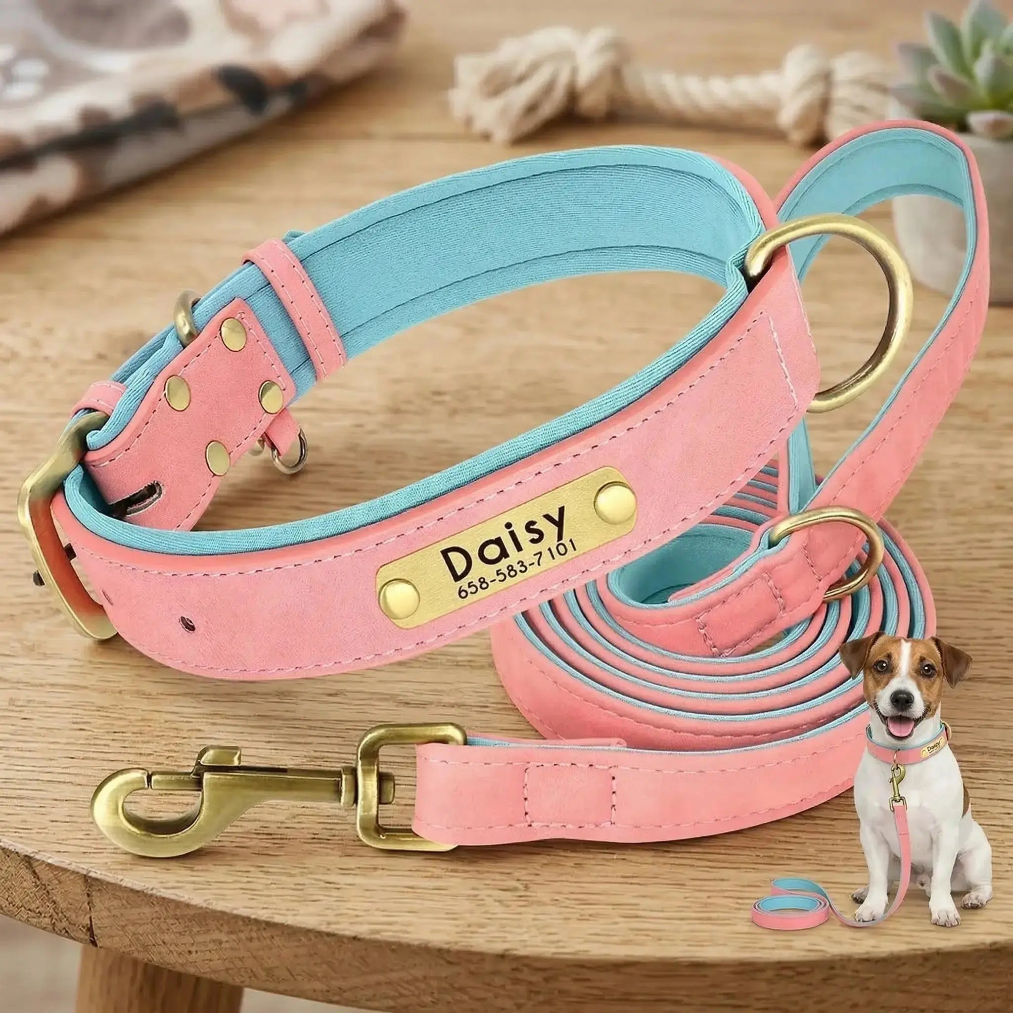 Collier personnalisé pour chien avec laisse assortie – Gravure offerte rose clair avec doublure bleu Walk'Studio