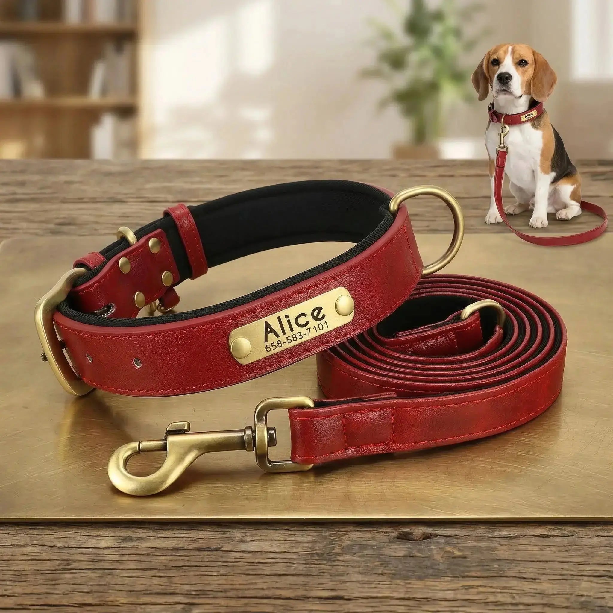 Collier personnalisé pour chien avec laisse assortie – Gravure offerte rouge Walk'Studio