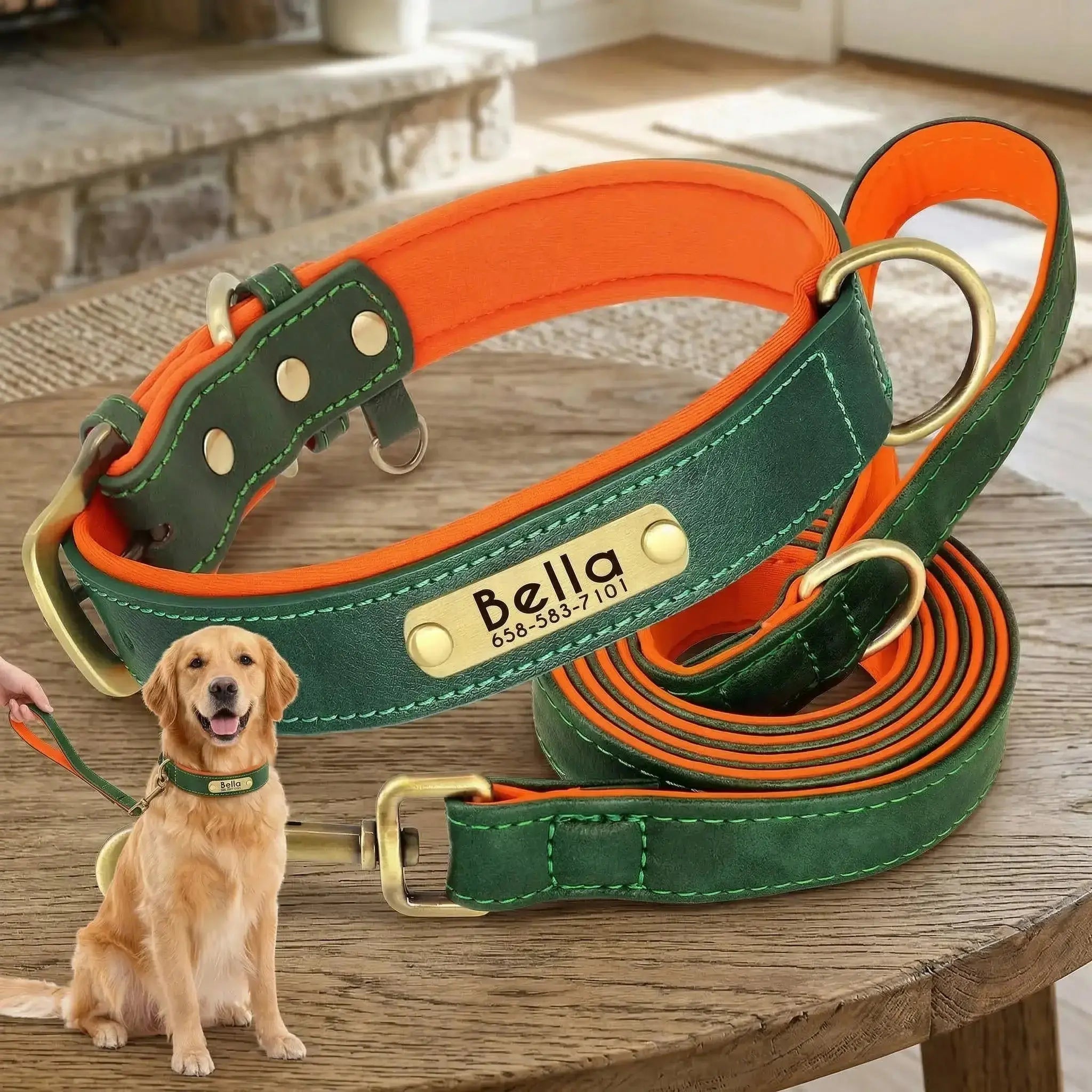 Collier personnalisé pour chien avec laisse assortie – Gravure offerte vert et orange  Walk'Studio
