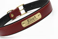 Collier personnalisé pour chien avec laisse assortie – Gravure offerte Walk'Studio