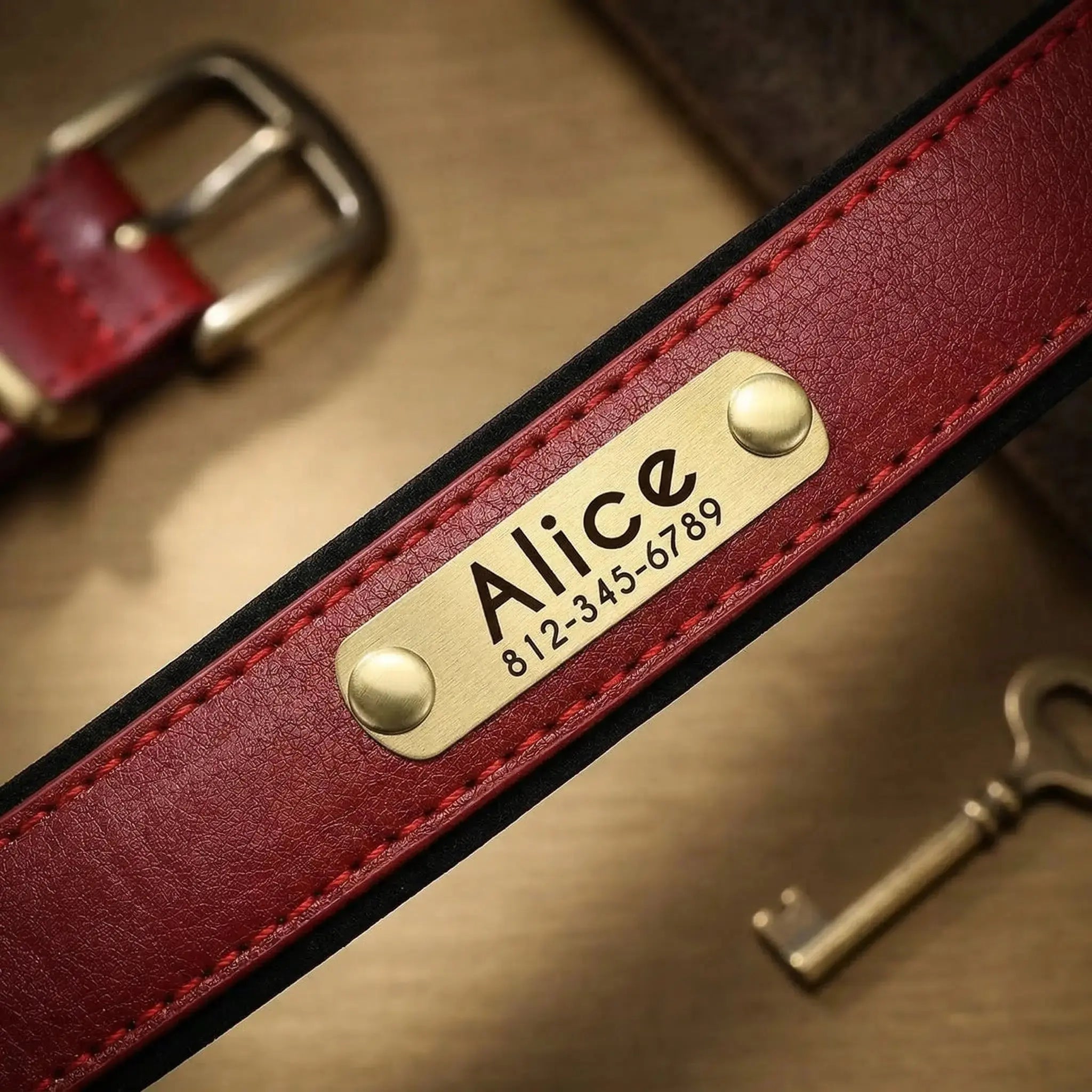 Collier personnalisé pour chien avec laisse assortie – Gravure offerte Walk'Studio
