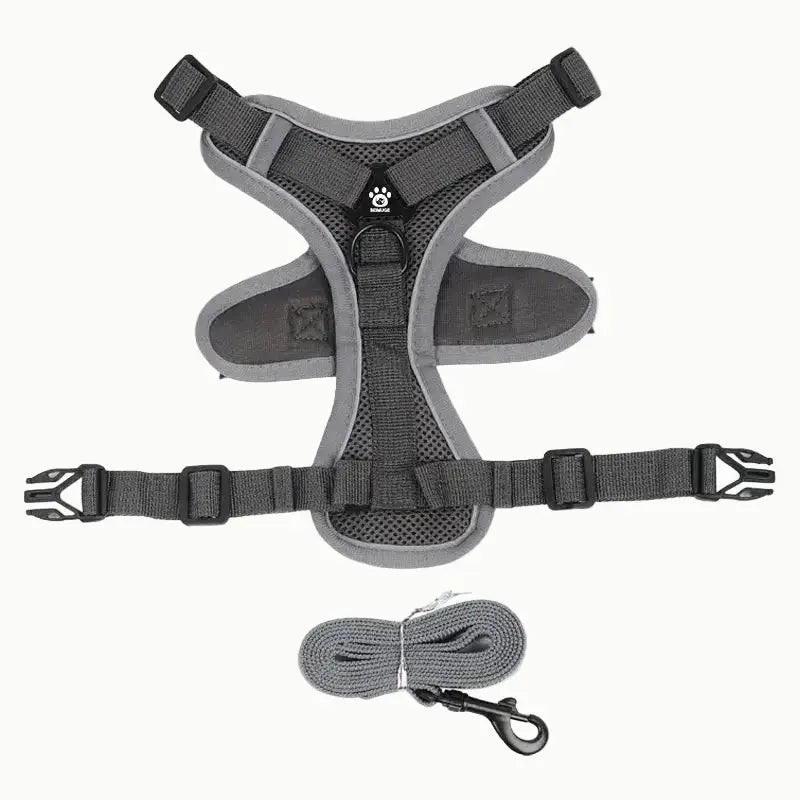 harnais anti traction et laisse  gris