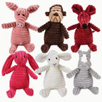 jouet peluches résistantes pour chien
