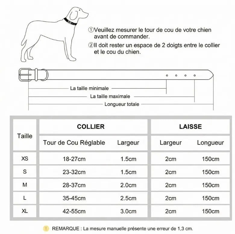 Collier personnalisé pour chien avec laisse assortie – Gravure offerte Walk'Studio