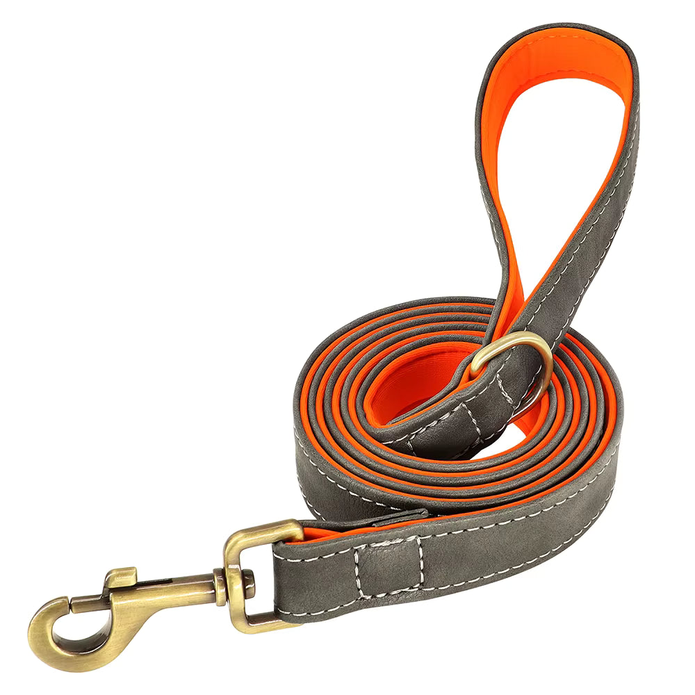 Ensemble collier et laisse pour chien personnalisé et élégant – Gravure offerte