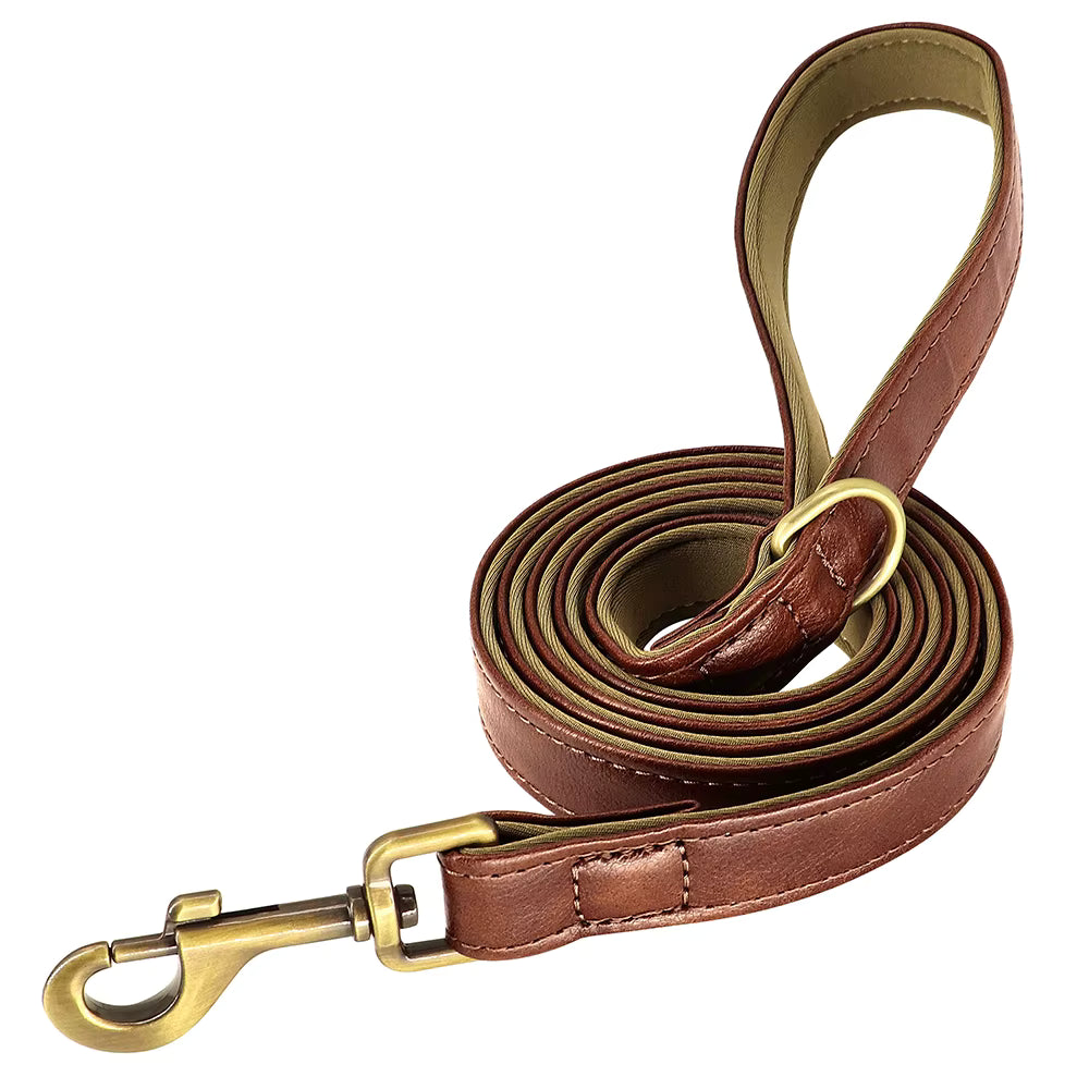Ensemble collier et laisse pour chien personnalisé et élégant – Gravure offerte
