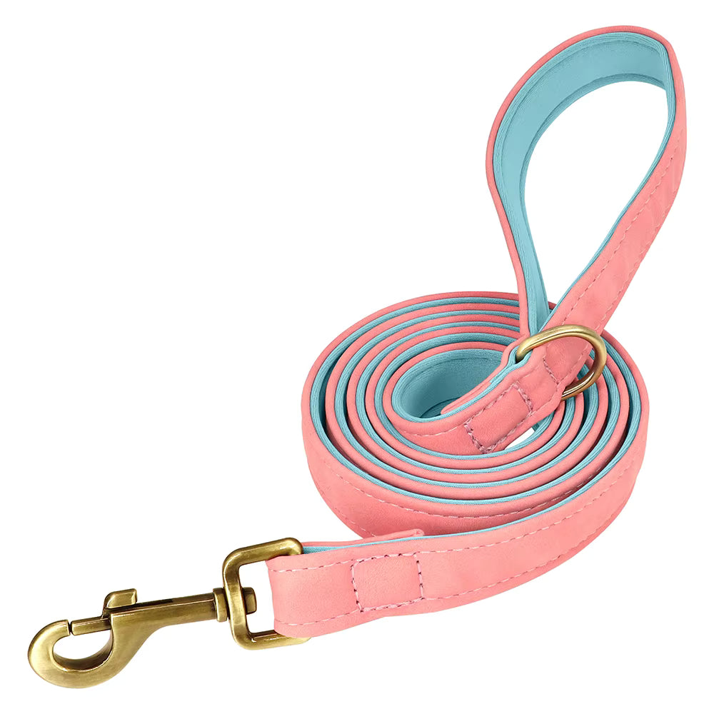 Ensemble collier et laisse pour chien personnalisé et élégant – Gravure offerte