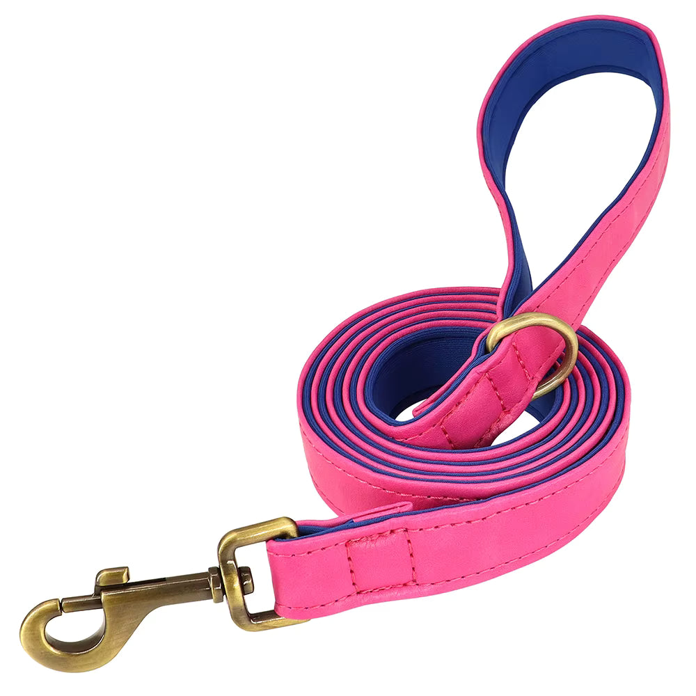 Ensemble collier et laisse pour chien personnalisé et élégant – Gravure offerte
