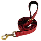 Ensemble collier et laisse pour chien personnalisé et élégant – Gravure offerte