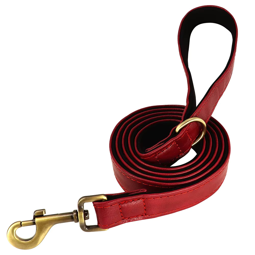 Ensemble collier et laisse pour chien personnalisé et élégant – Gravure offerte