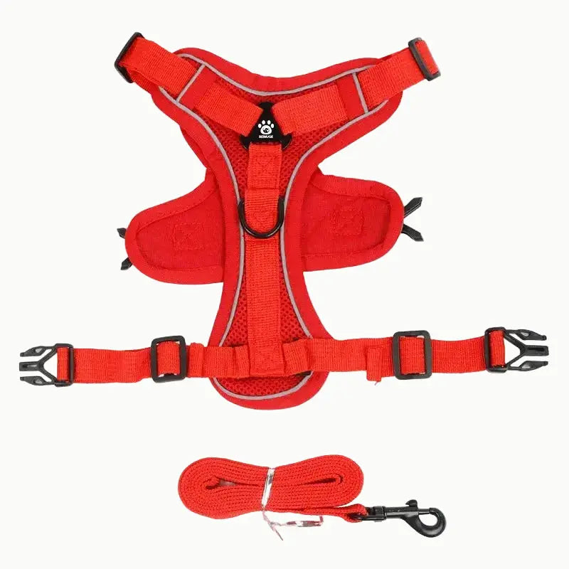 harnais anti traction et laisse orange