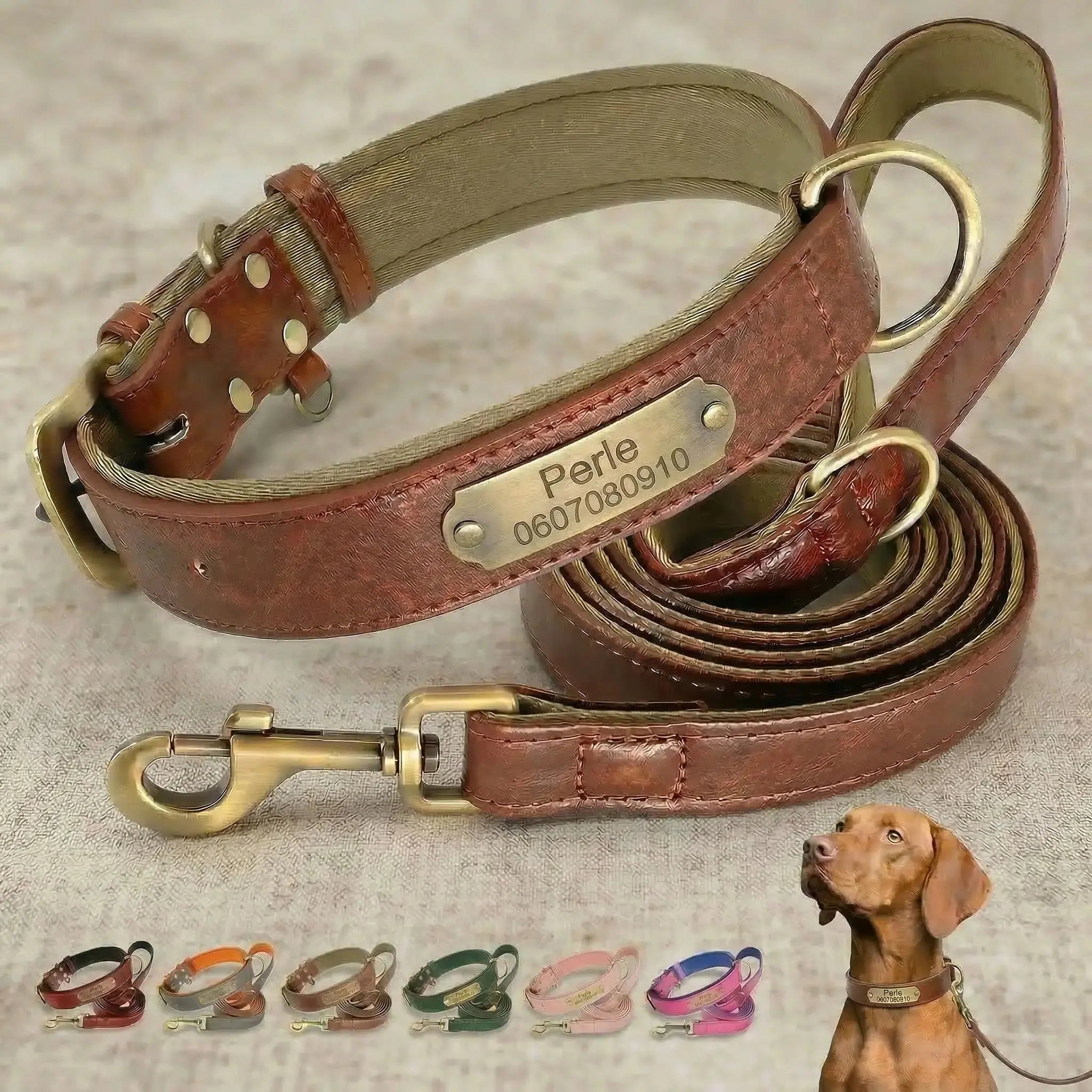 Collier personnalisé pour chien avec laisse assortie – Gravure offerte boucle dorée. cuir synthétique Walk'Studio