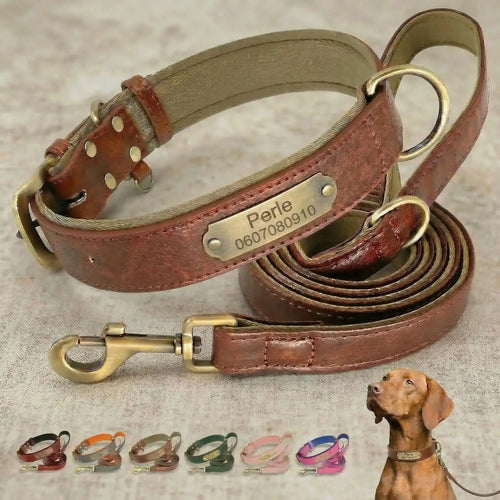 Collier personnalisé pour chien avec laisse assortie – Gravure offerte boucle dorée. cuir synthétique Walk'Studio